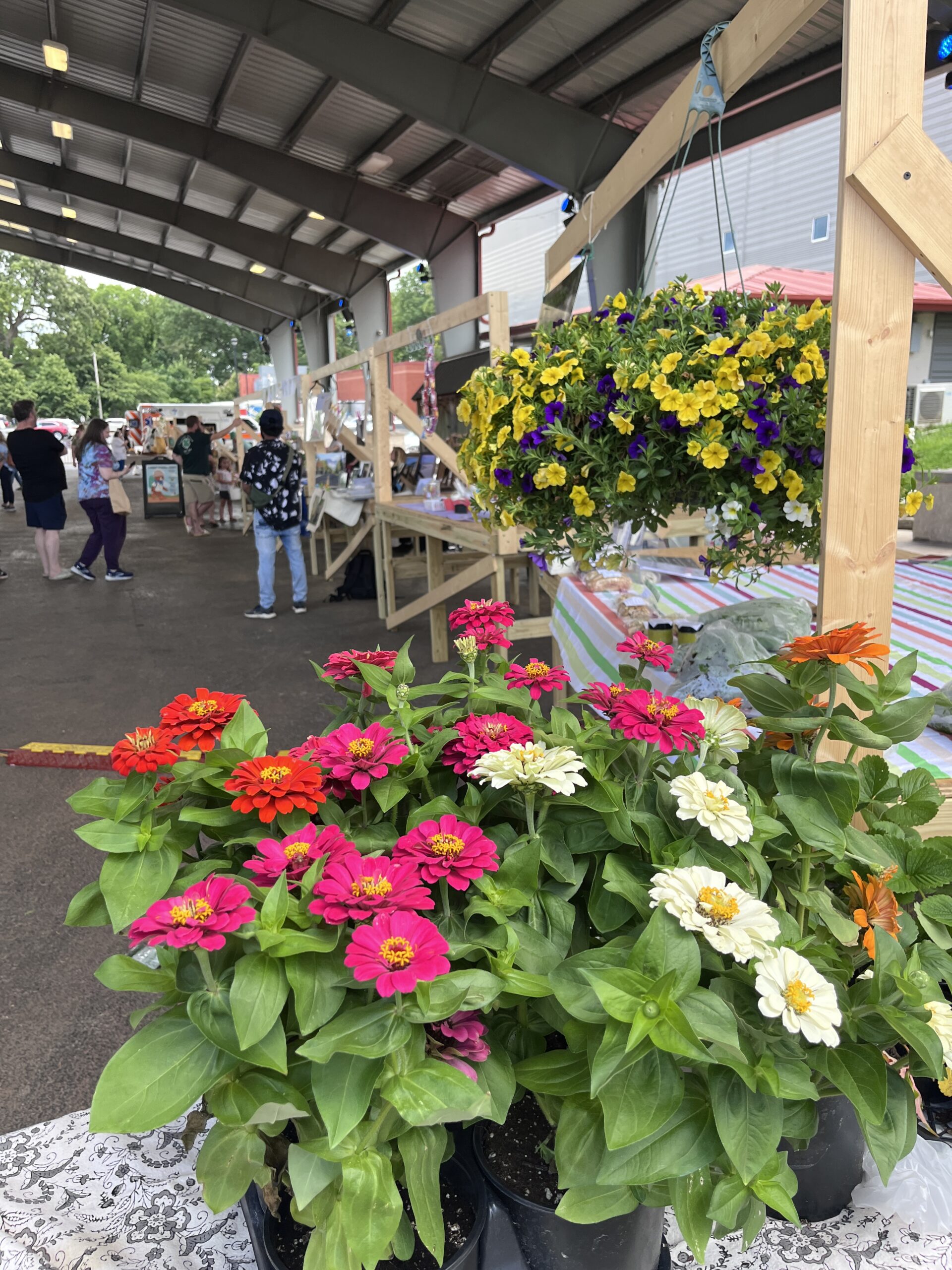 Flower baskets hanging at the Farmers Market 