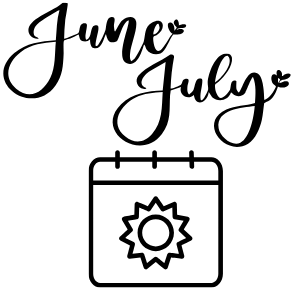 Summer Reading Market icon