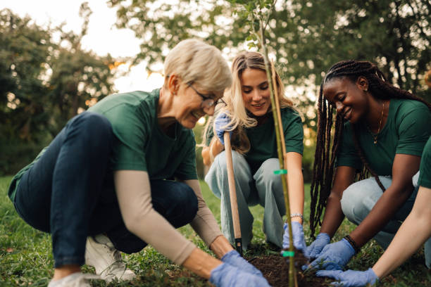 A group of people planting trees